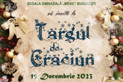 Imagine-WhatsApp-2023-12-12-la-12.50.00_cc6c4ea2